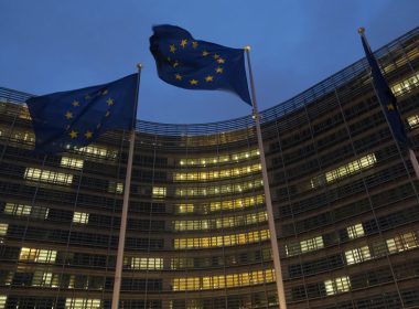 З якими країнами Україна може разом вступити в ЄС: відповідь Качки