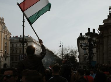 a man holding a flag in a crowd of people
